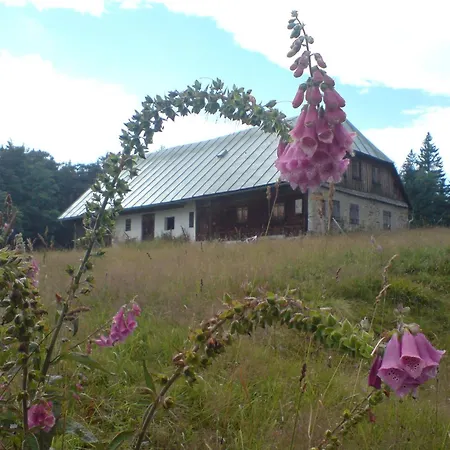 Zur Alten Dampfsaege - Gasthaus-pension Weber بيت ريفي