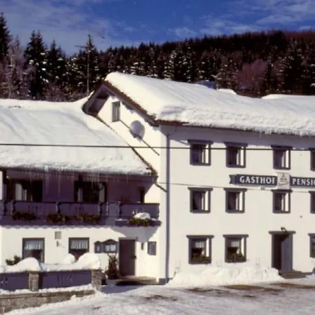 Zur Alten Dampfsaege - Gasthaus-pension Weber بيت ريفي 3*