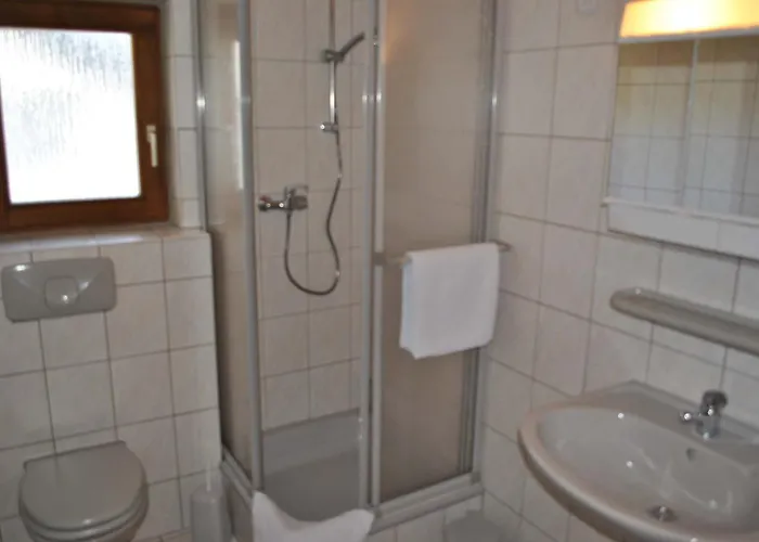 Zur Alten Dampfsaege - Gasthaus-pension Weber 3*