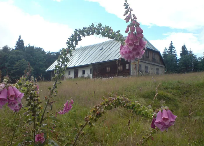 Zur Alten Dampfsaege - Gasthaus-pension Weber بيت ريفي