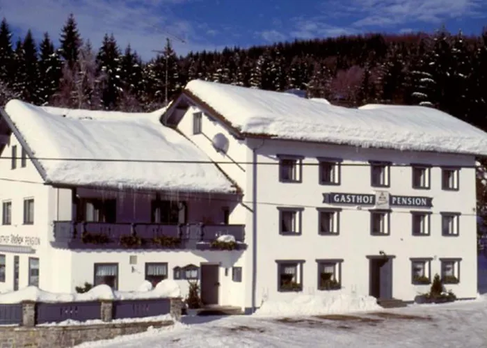 Zur Alten Dampfsaege - Gasthaus-pension Weber بيت ريفي 3*