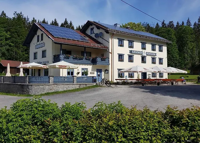 Zur Alten Dampfsaege - Gasthaus-pension Weber 3*